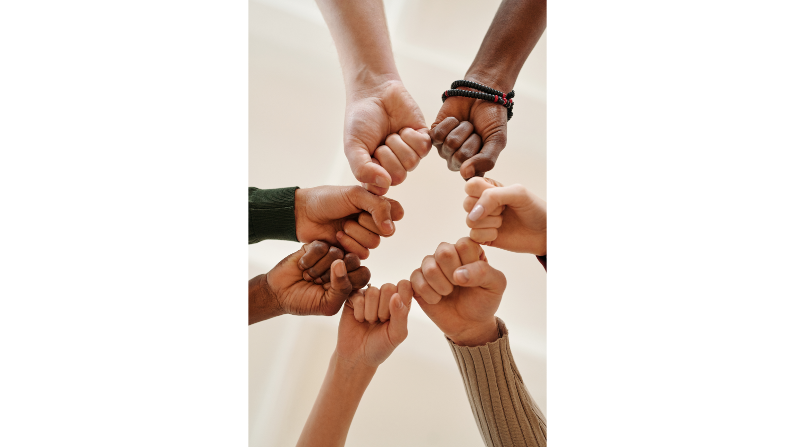 Anicam Enterprises strives to realize sustainable stakeholder value.