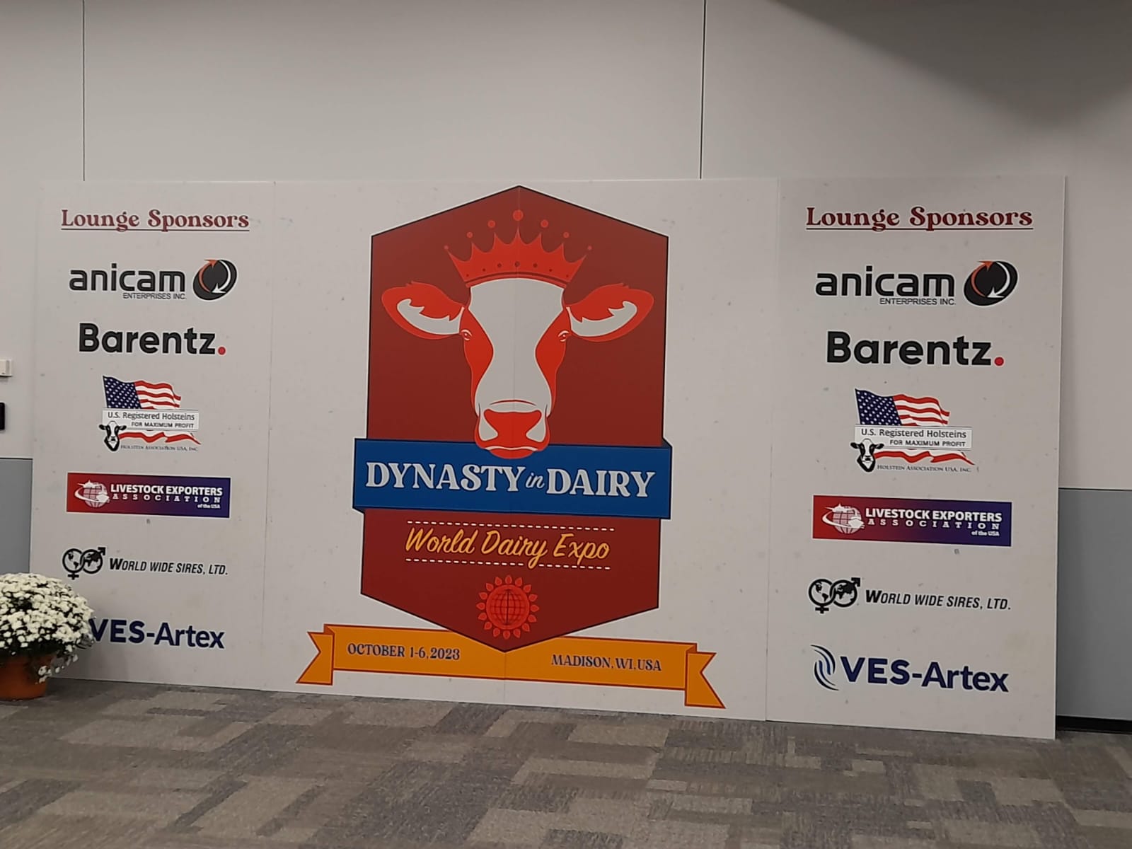 Whatsapp Image 2026 02 24 At 08.52.53